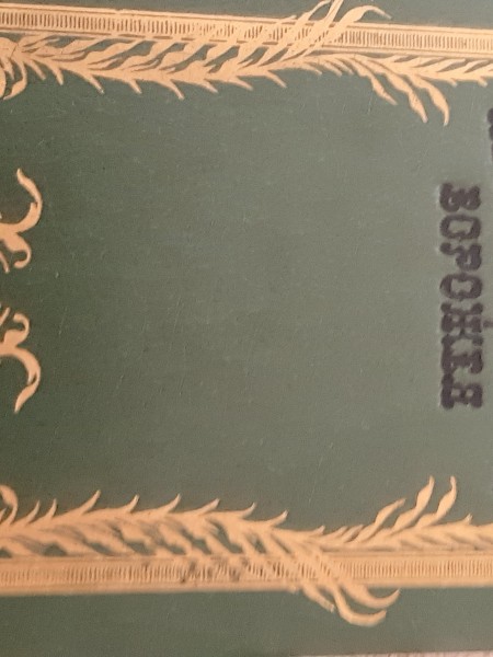 Петербургская Ворожея