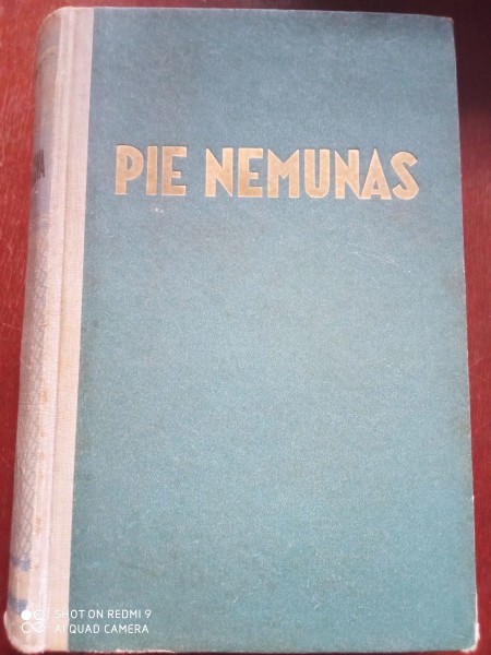 Pie Nemunas