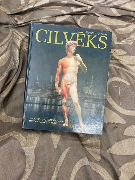 Cilvēks. Anatomija fizioloģija patoloģijas pamati