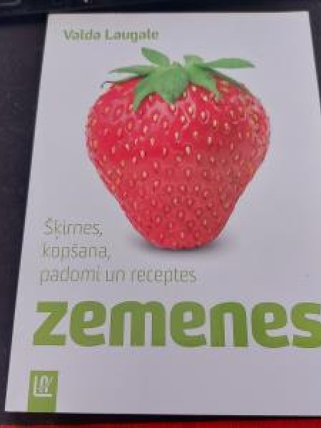 Zemenes