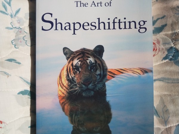 The Art of Shapeshifting