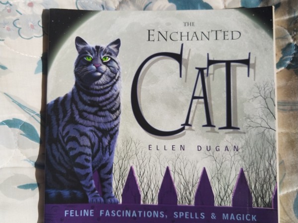 The Enchanted Cat