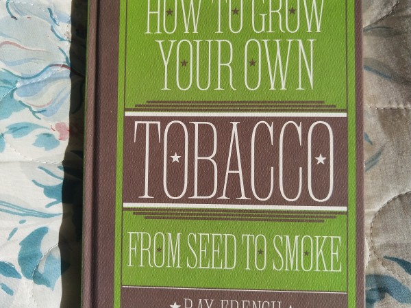 How to grow your own Tobacco from seed to smoke