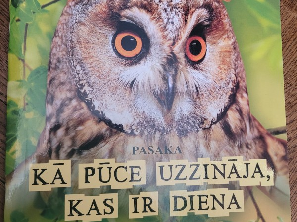 Kā pūce uzzināja kas ir diena