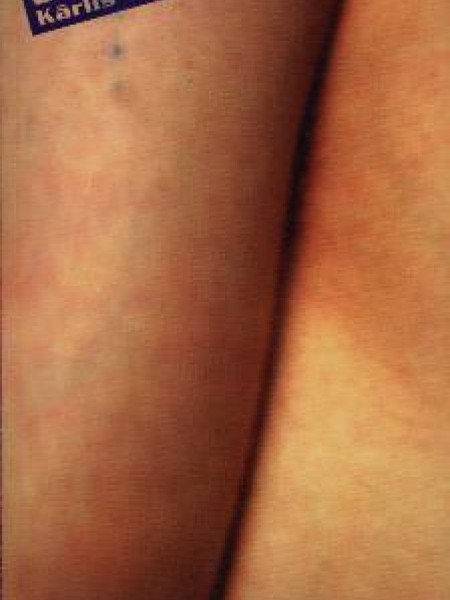 Ledlauži, 1997-2000