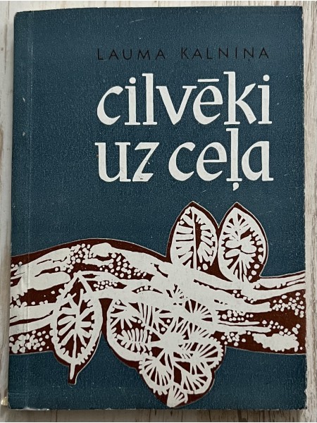 Cilvēki uz ceļa