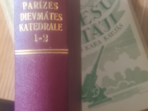 Parīzes Dievmātes Katredāle