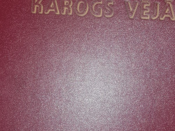 Karogs vējā