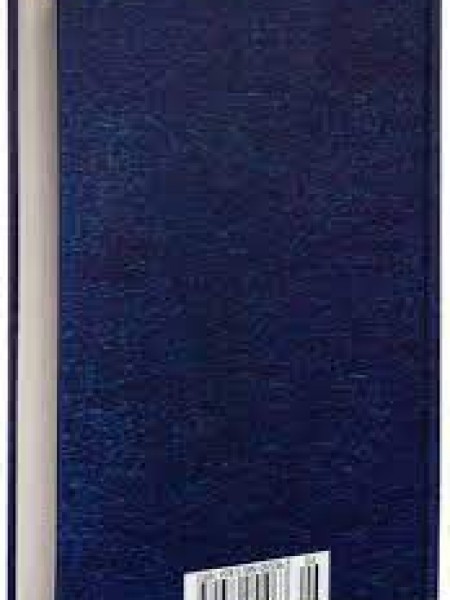 Похождения бравого солдата Швейка