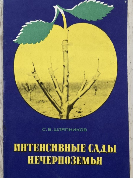 Интенсивные сады Нечерноземья