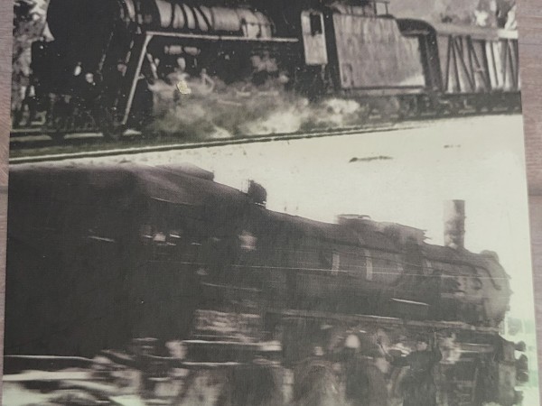 Meitene no nekurienes