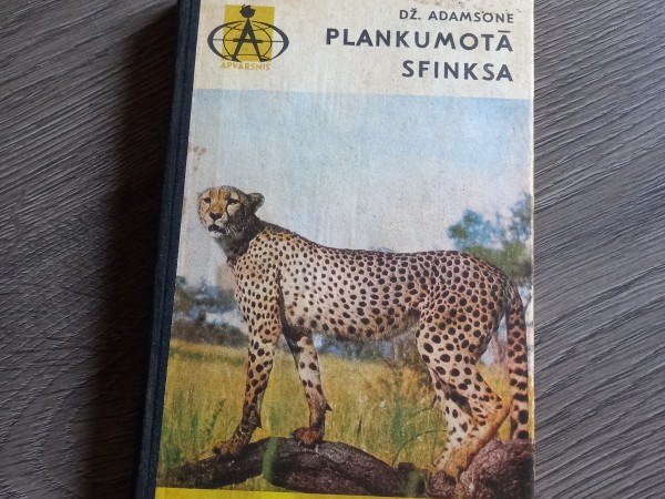 Plankumotā  sfinska