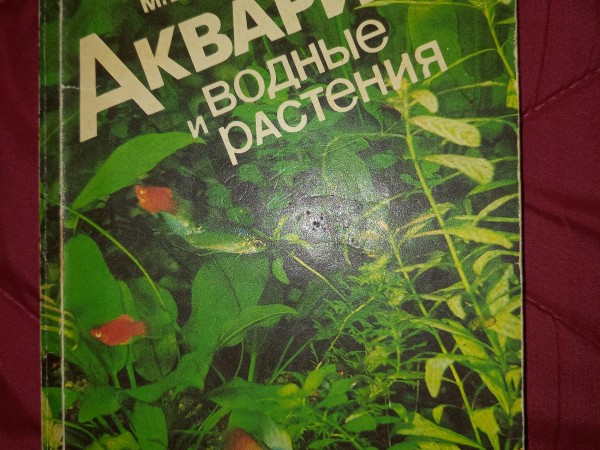 Аквариум и водяные растения