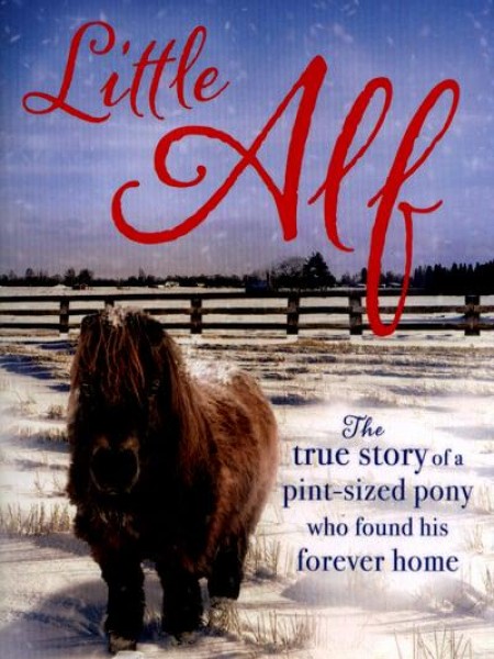 Little Alf: The true story of a pint-sized pony who found his forever home