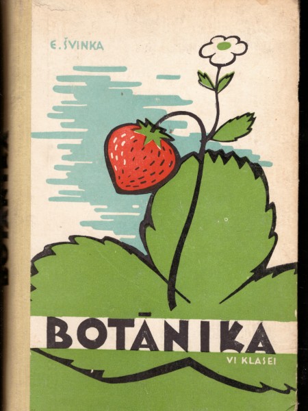 Botānika 6. klasei