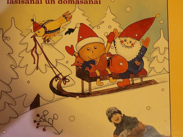 ZĪLE grāmata lasīšanai un domāšanai