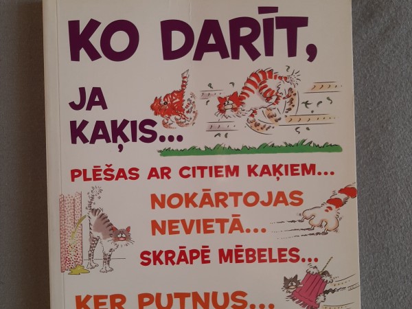 Ko darīt, ja kaķis...