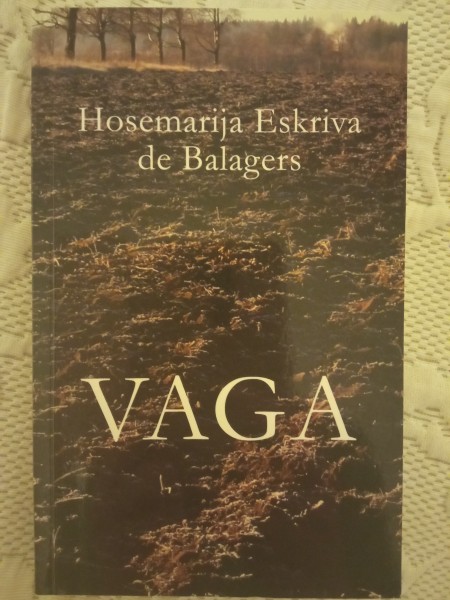 Vaga