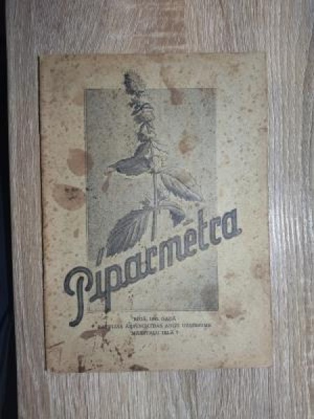 Piparmētra