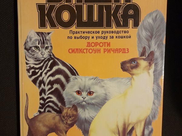Bаша кошка