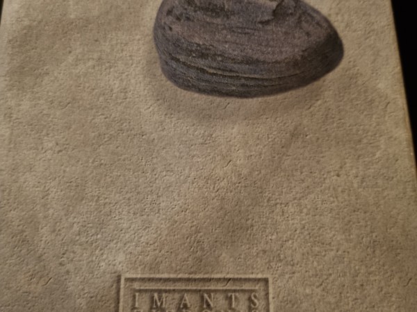 I Ziedonis_kopotie raksti 4.sējums