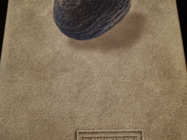 I.Ziedonis_kopoti raksti 6.sējums