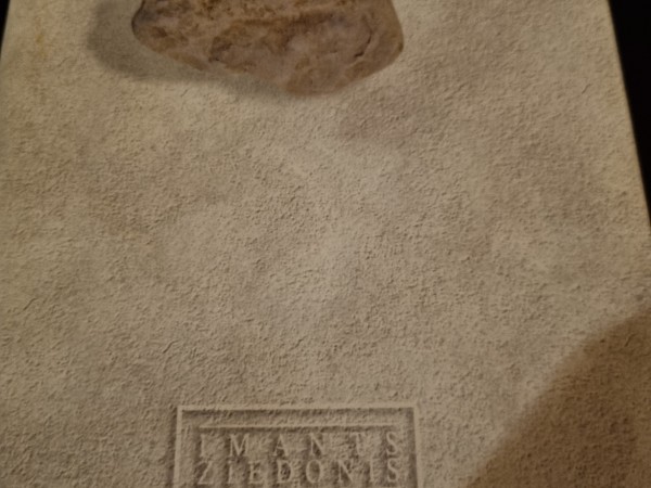 I.Ziedonis kopotie raksti 5.sējums