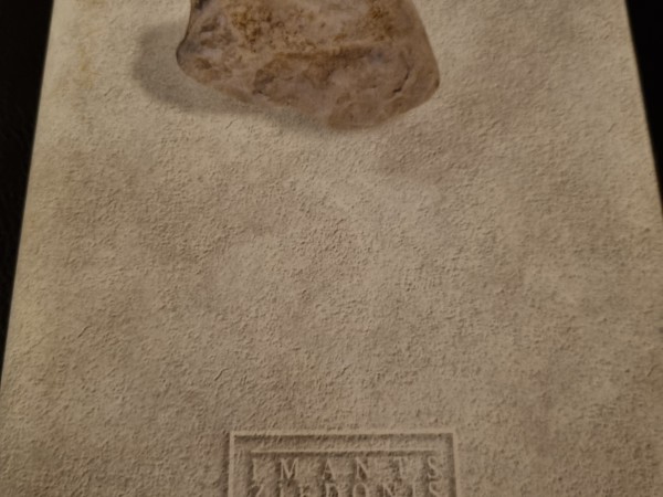 I.Ziedonis_8.sējums