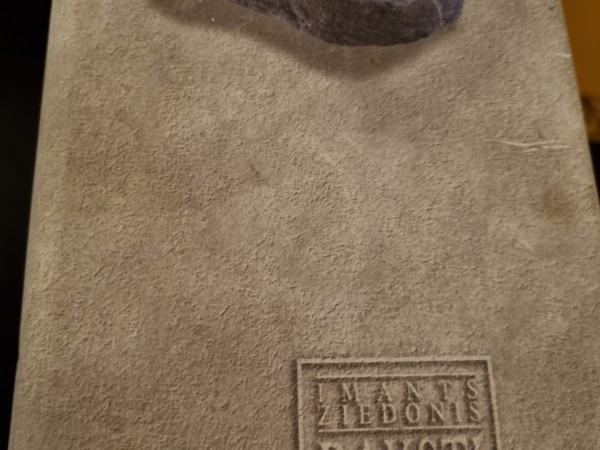 I.Ziedonis_7.sējums