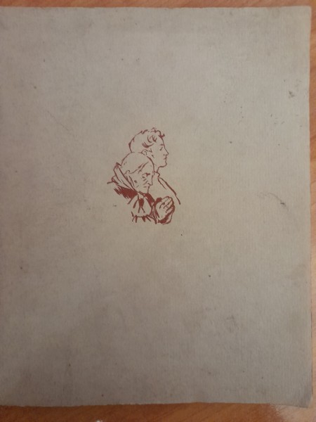 Einer Witwe Sohn Ein Poem