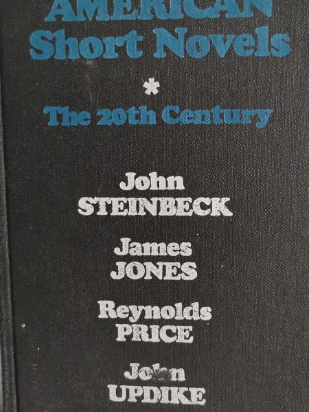 American Short Novels. The 20th Century