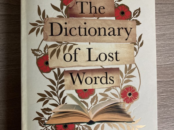The Dictionary of Lost Words