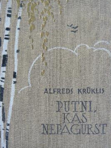 Putni, kas nepagurst