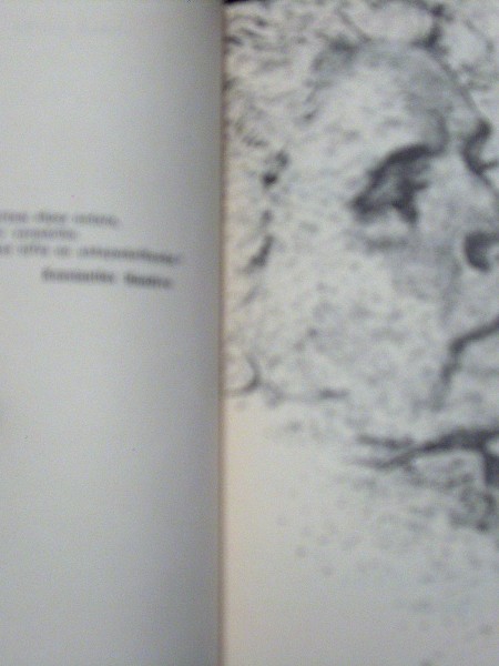 Tālā gaita 1955 G.