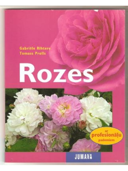 Rozes