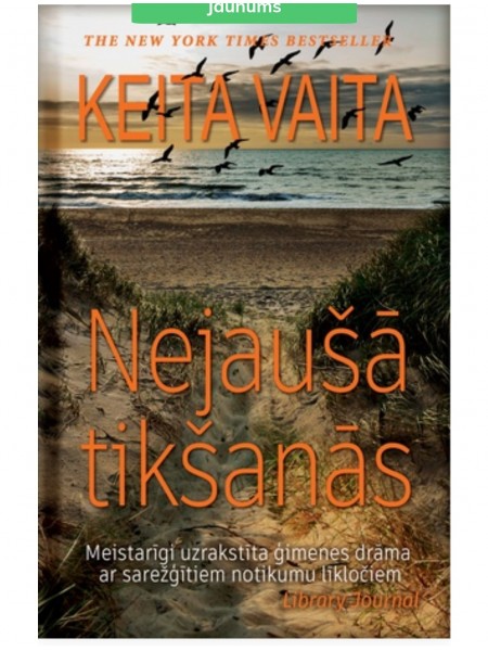 Nejaušā tikšanās