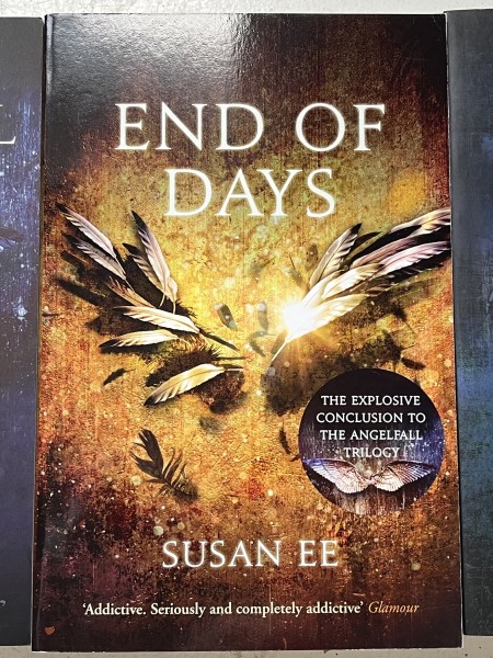 Angellfall, end of days, world after