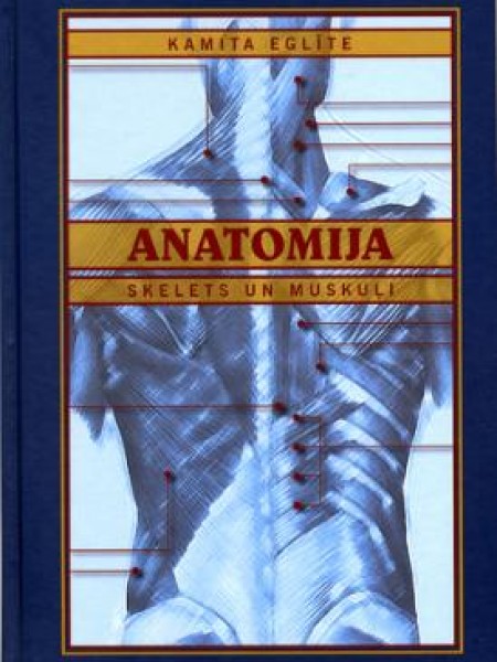 Anatomija. Skelets un muskuļi