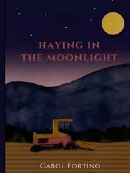 Haying in the moonlight