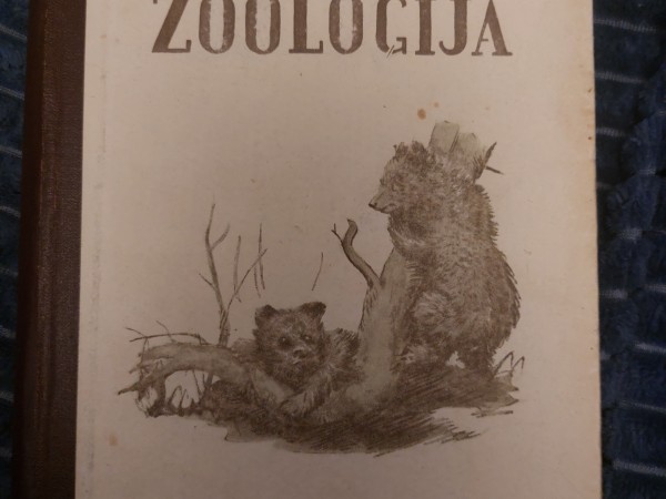 Zooloğija