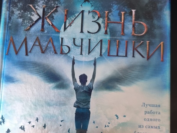 Жизнь мальчишки