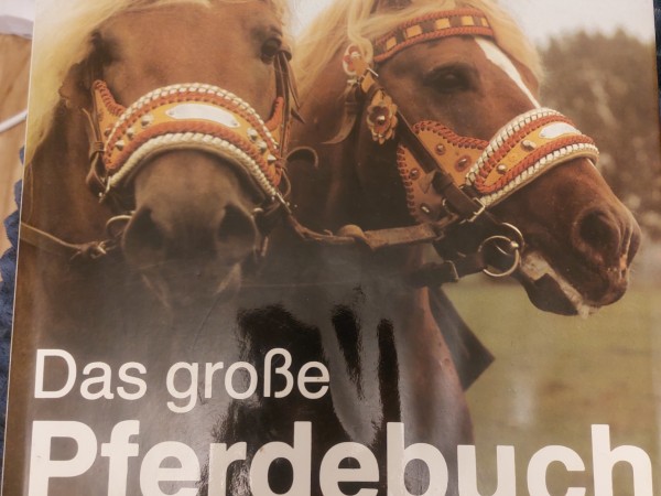 Das große Pferdbuch