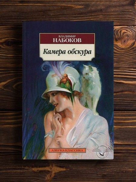 Камера обскура