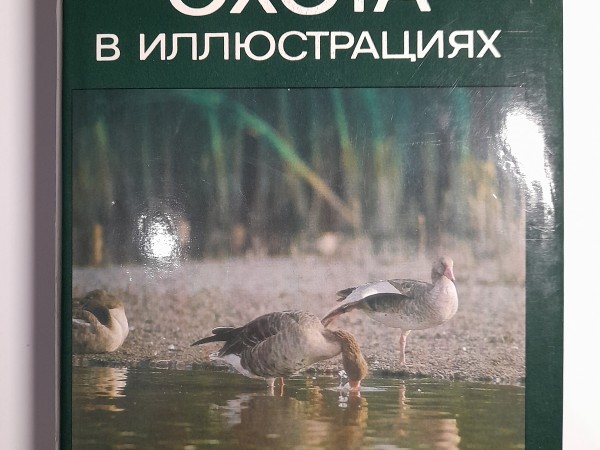 Охота в иллюстрациях