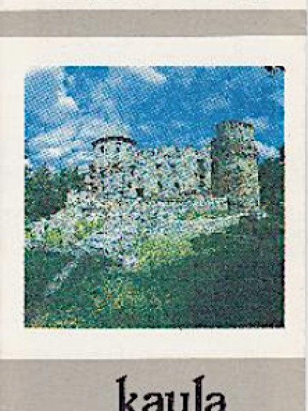 Cēsu pils kaula priekšmeti