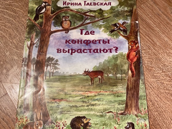 Где конфеты вырастают?