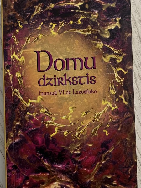 Domu dzirkstis