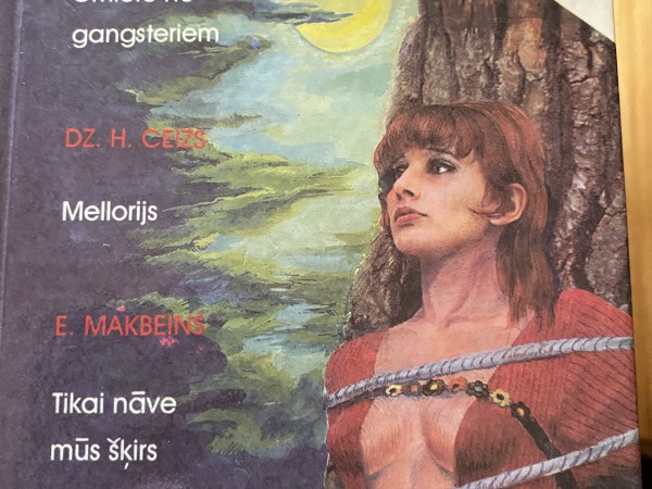 mūsdienu kriminālromāns