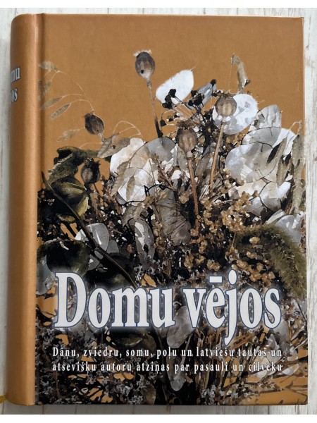 Domu vējos