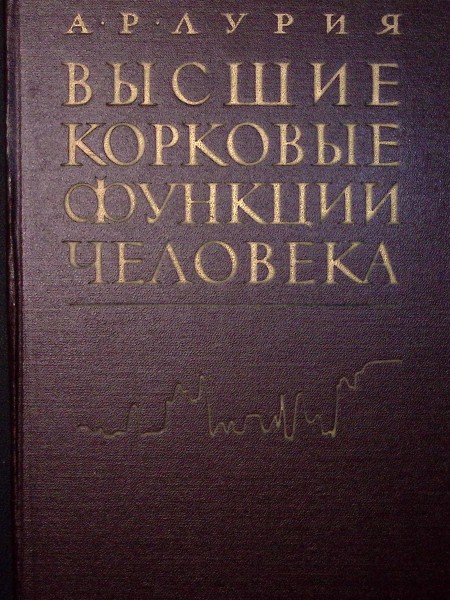 Высшие корковые функции человека